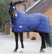WeatherBeeta Under Rug Combo Medium