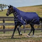 Weatherbeeta Comfitec Essential Combo Neck Medium