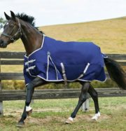 Weatherbeeta Comfitec Essential Standard Neck Lite Plus Navy