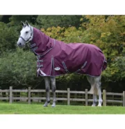 Weatherbeeta Comfitec Plus Dynamic Detatch-a-Neck Medium